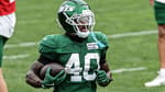 Chip Trayanum, New York Jets