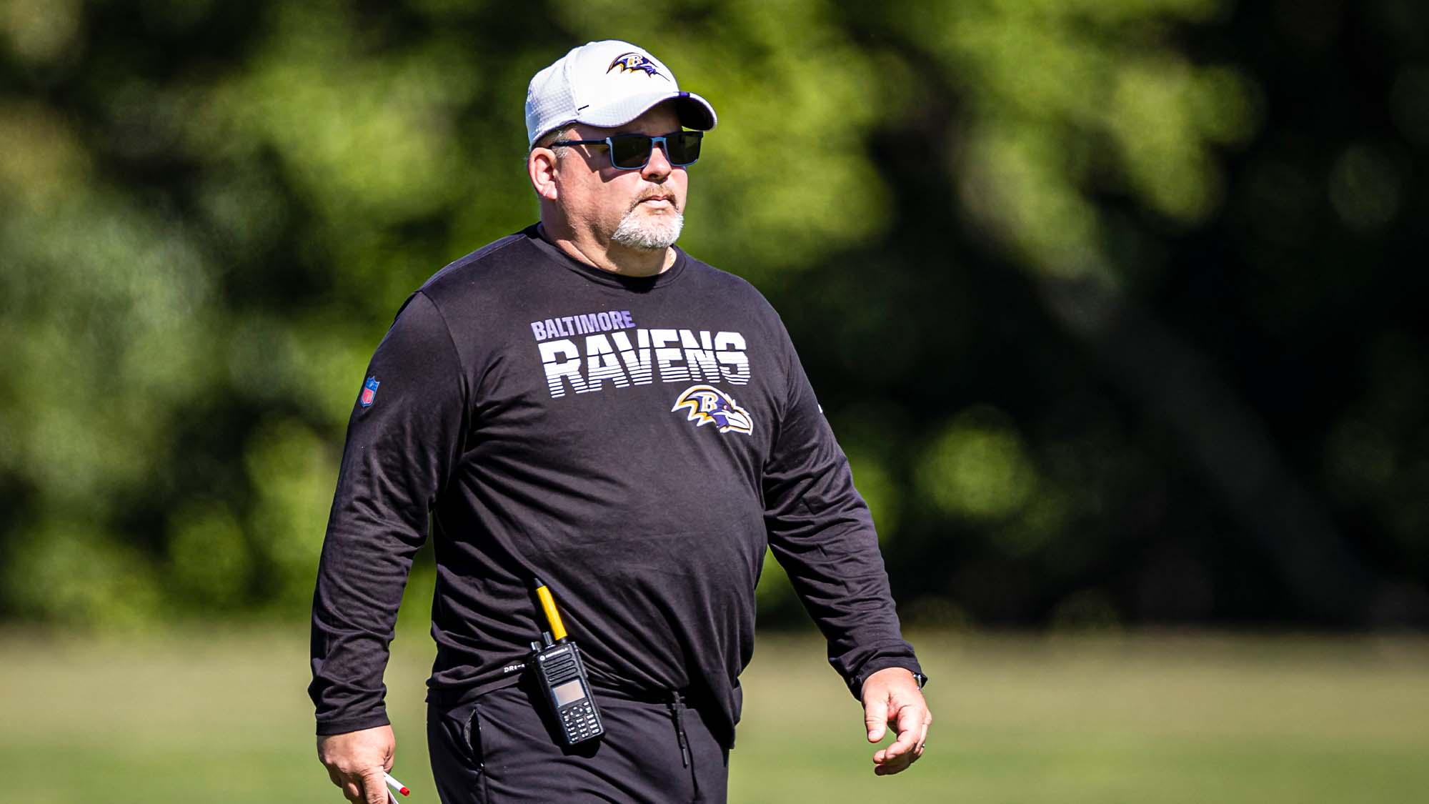 Greg Roman, Baltimore Ravens