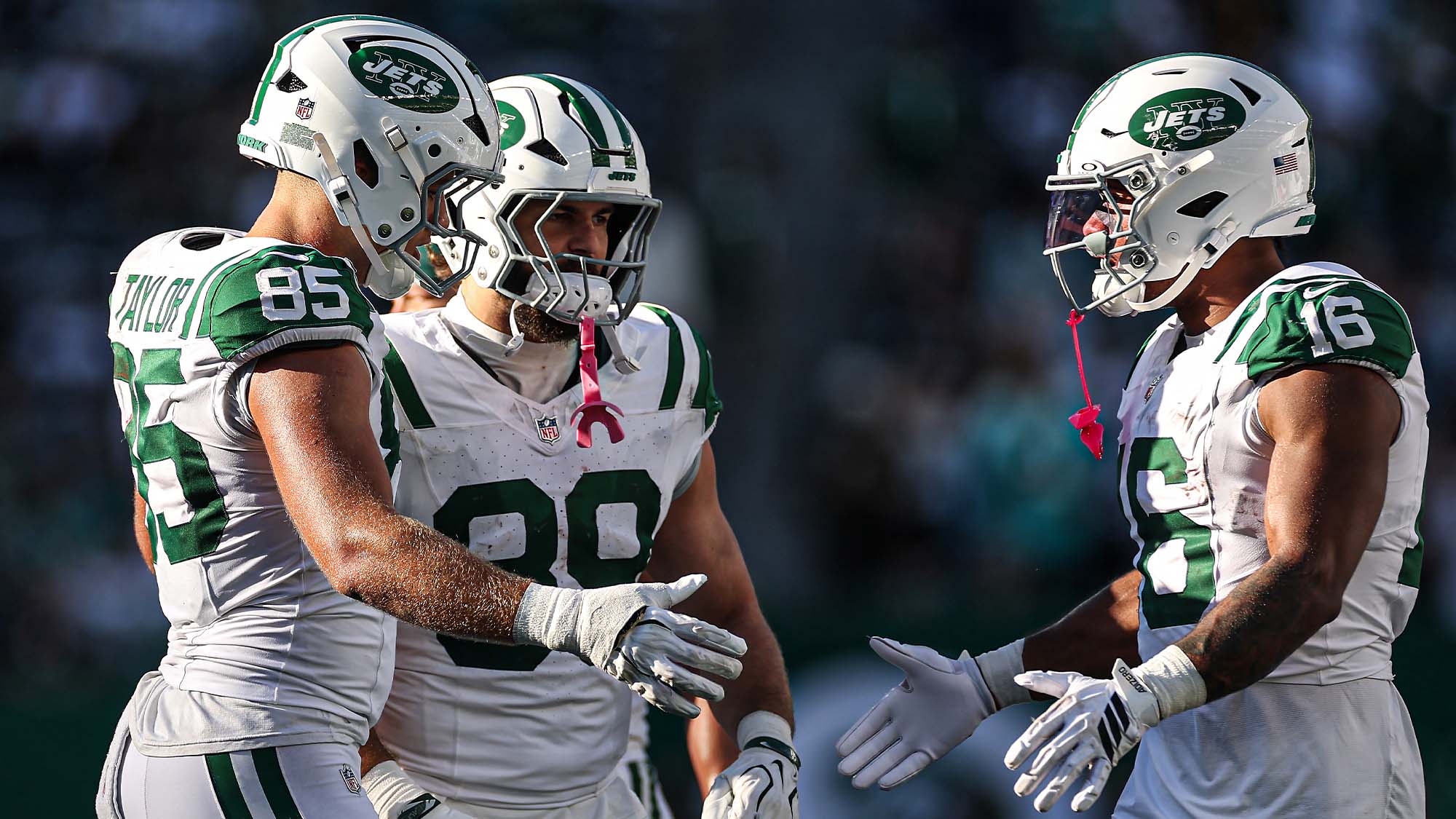 New York Jets, Mason Taylor, Kenyon Sadiq