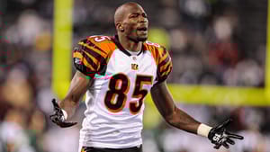Chad Johnson, NY Jets, Bengals, Coach