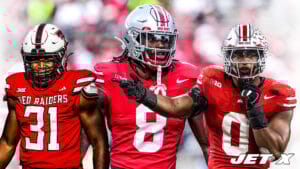 Arvell Reese, David Bailey, Sonny Styles