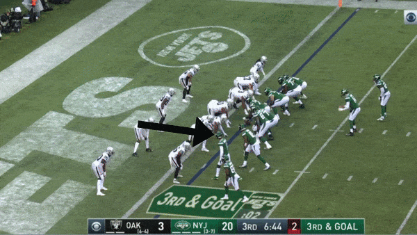 Robby Anderson red zone Raiders