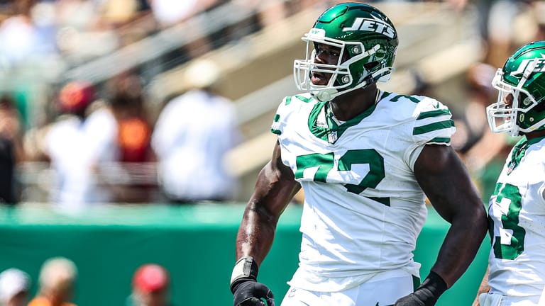 Micheal Clemons, NY Jets, NFL, Punch, Fight