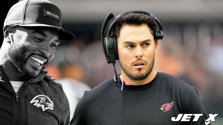 Zach Orr, Mike Bercovici, Baltimore Ravens, Arizona Cardinals,