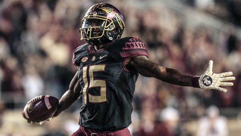 TALLAHASSEE, FL - NOVEMBER 17: Florida State Seminoles wide receiver Tamorrion Terry (15) celebrates while running into the end-zone for a touchdown during the game between the Florida State Seminoles and the Boston College Eagles on November 17, 2018, at Doak Campbell Stadium in Tallahassee, Florida.