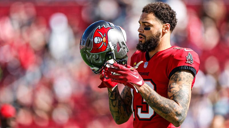 Mike Evans, Fantasy, PPR, Projection