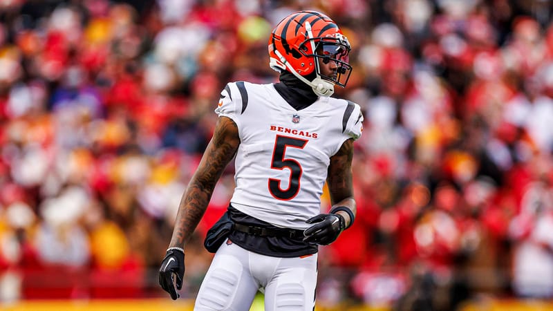 Tee Higgins