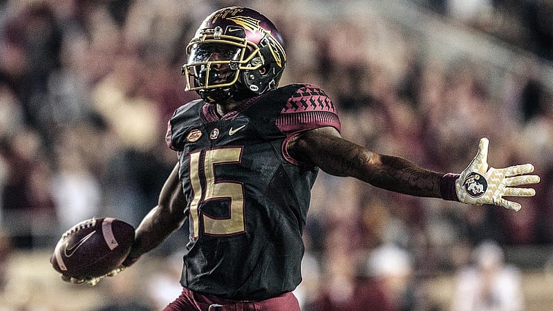 TALLAHASSEE, FL - NOVEMBER 17: Florida State Seminoles wide receiver Tamorrion Terry (15) celebrates while running into the end-zone for a touchdown during the game between the Florida State Seminoles and the Boston College Eagles on November 17, 2018, at Doak Campbell Stadium in Tallahassee, Florida.