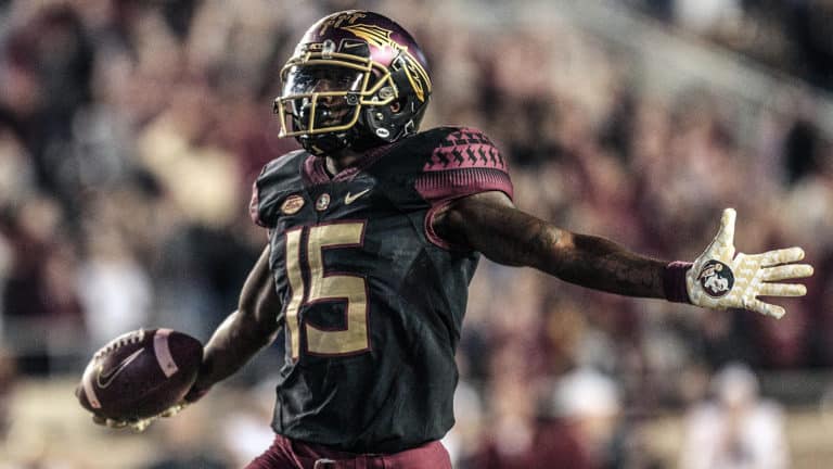 TALLAHASSEE, FL - NOVEMBER 17: Florida State Seminoles wide receiver Tamorrion Terry (15) celebrates while running into the end-zone for a touchdown during the game between the Florida State Seminoles and the Boston College Eagles on November 17, 2018, at Doak Campbell Stadium in Tallahassee, Florida.