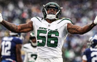 NY Jets, Quincy Williams, Stats, Rank, LB
