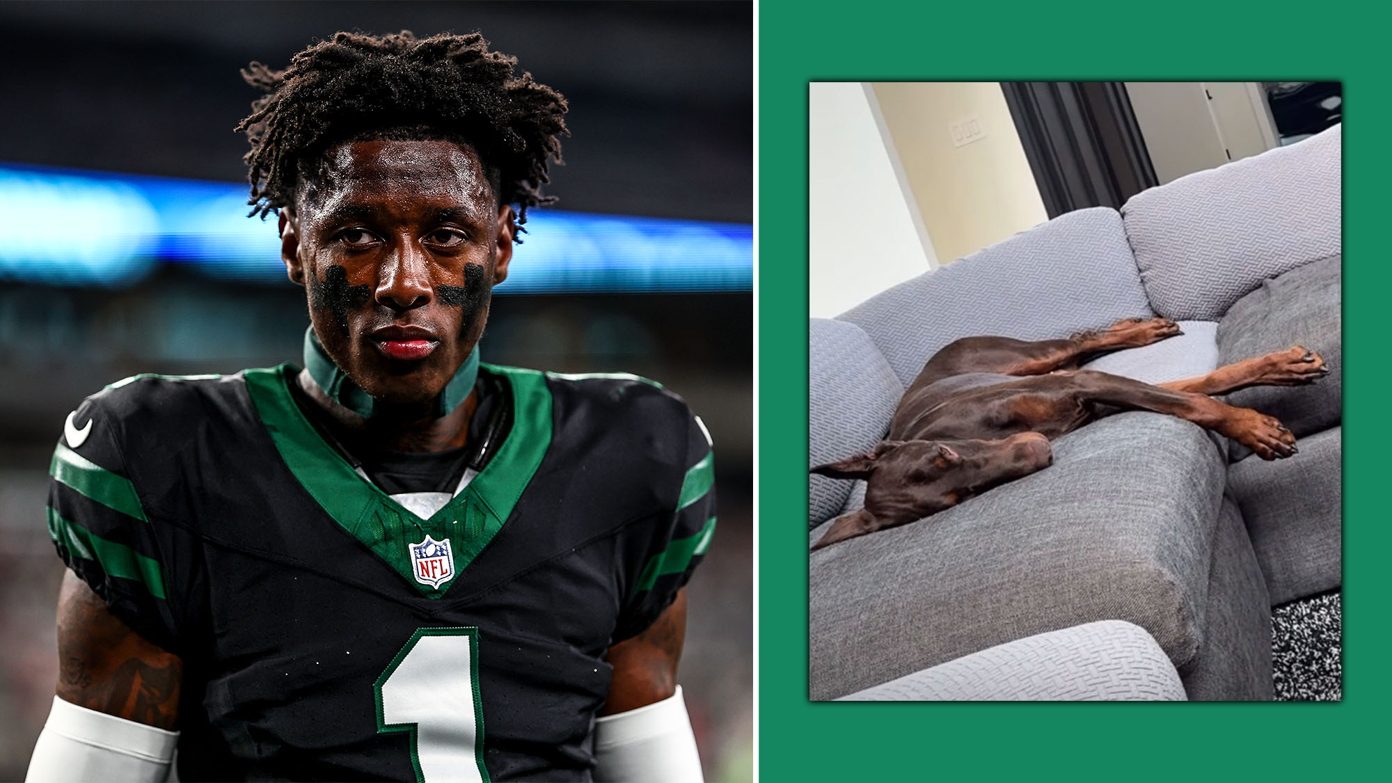 Sauce Gardner, New York Jets, Rocco the Dog