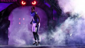 Brandon Stephens, Baltimore Ravens